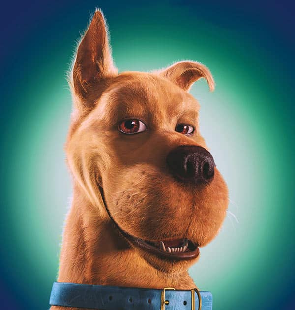 Scooby Doo profile